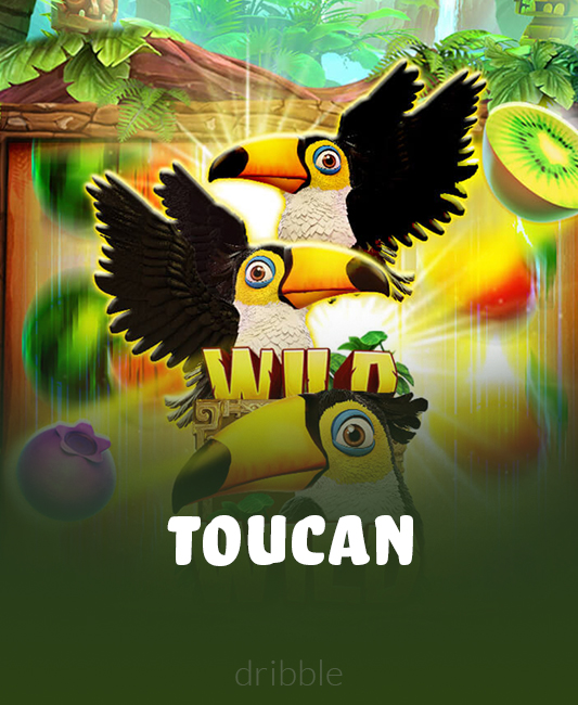 Toucan